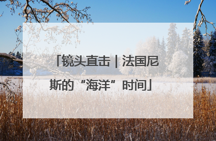 镜头直击｜法国尼斯的“海洋”时间